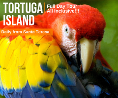 Tortuga Island Full Day Tour from Funky Monkey Lodge Santa Teresa