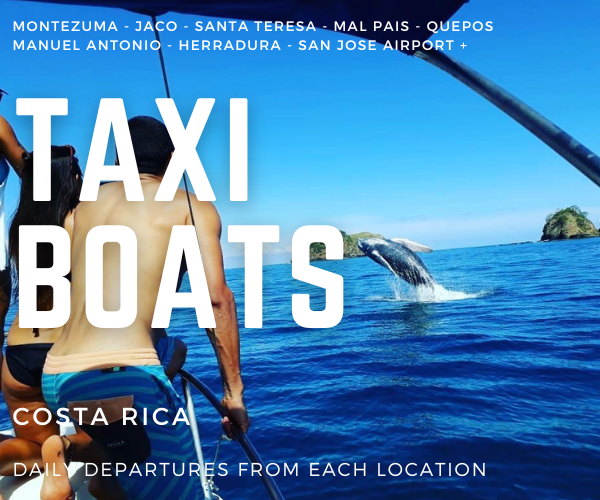 Playa Hermosa Santa Teresa to Quepos Marina Pez Vela Taxi Boat