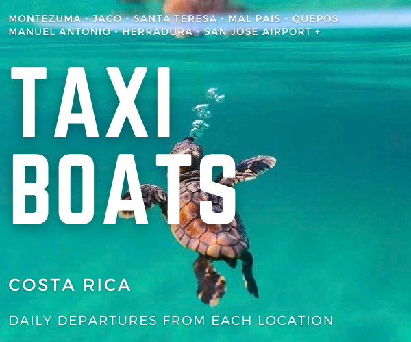 Santa Teresa to Manuel Antonio Taxi Boat Transportation Water Taxi