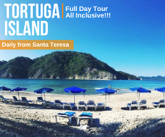Tortuga Island Full Day Tour from Luz de Luna Hostel Santa Teresa