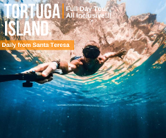 Tortuga Island Full Day Tour from Dos Monos Hostel South Santa Teresa