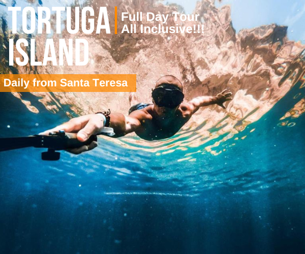 Tortuga Island Full Day Tour from Casa Azul Hotel Santa Teresa