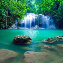 Blue River to Quepos - Private Transportation
