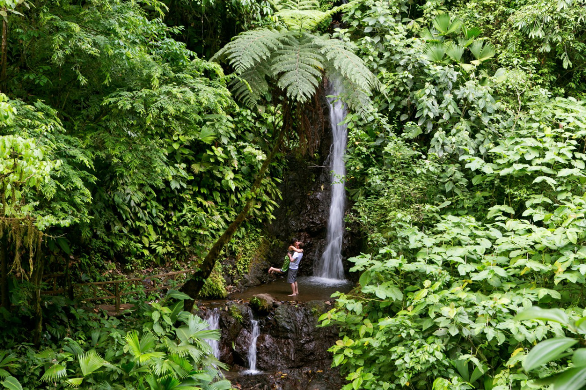 Ecological Excursion Rainmaker Rain Forest Hiking From Manuel Antonio