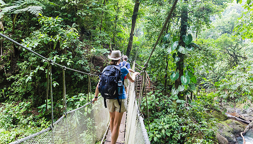Ecological Excursion: Rainmaker Rain Forest Hiking - Esterillos