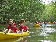 Wildlife & Birding River Kayaking Tour