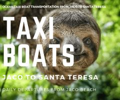 Taxi Boat Selina Jaco to Santa Teresa