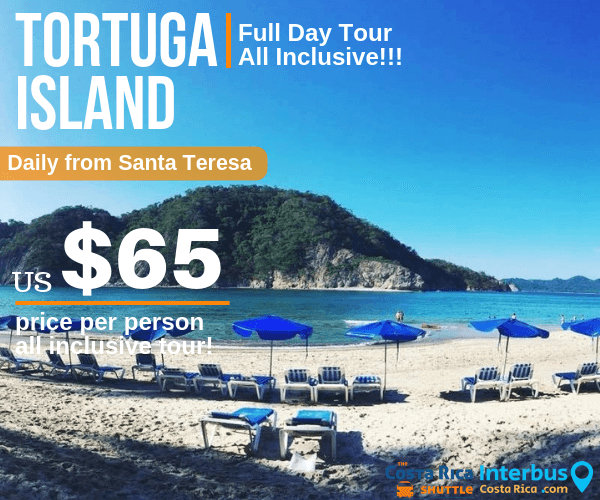 Tortuga Island Full Day Tour from Don Jons Santa Teresa