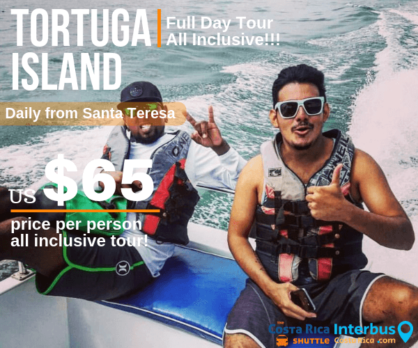 Tortuga Island Full Day Tour from Casa Zen Santa Teresa