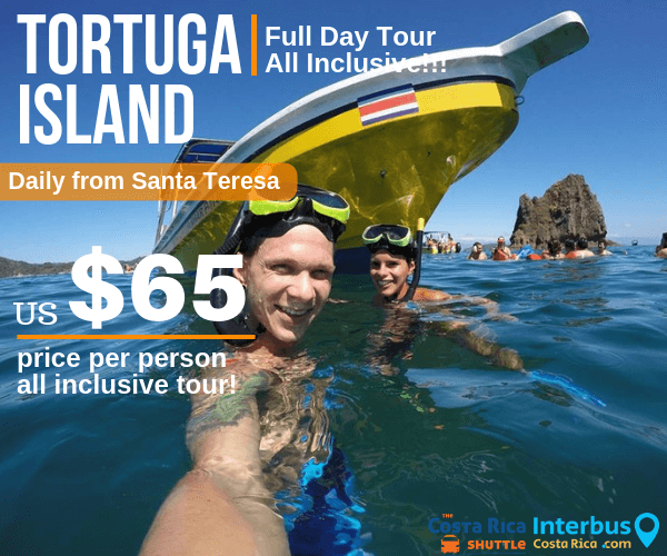 Tortuga Island Full Day Tour from Indigo Yoga Santa Teresa
