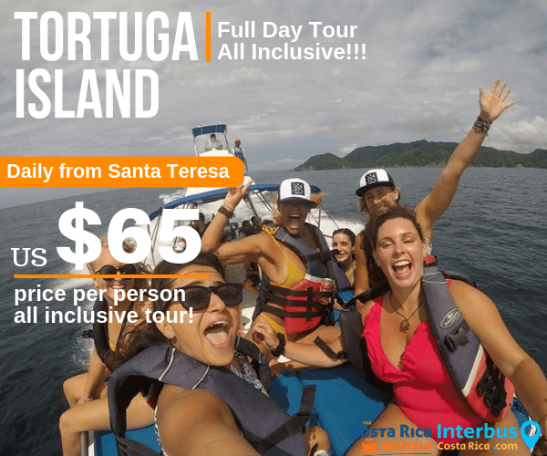 Tortuga Island Full Day Tour from La Posada Hostel Santa Teresa