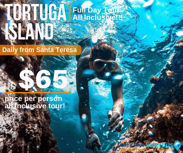 Tortuga Island Full Day Tour from Ranchos Itauna Santa Teresa