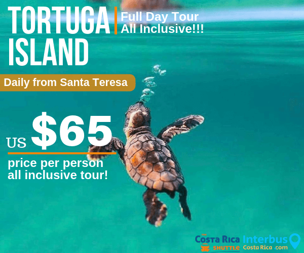 Tortuga Island Full Day Tour from Santa Teresa