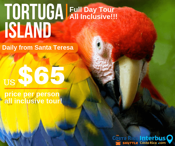 Tortuga Island Full Day Tour from Surf Santuario Hotel Santa Teresa