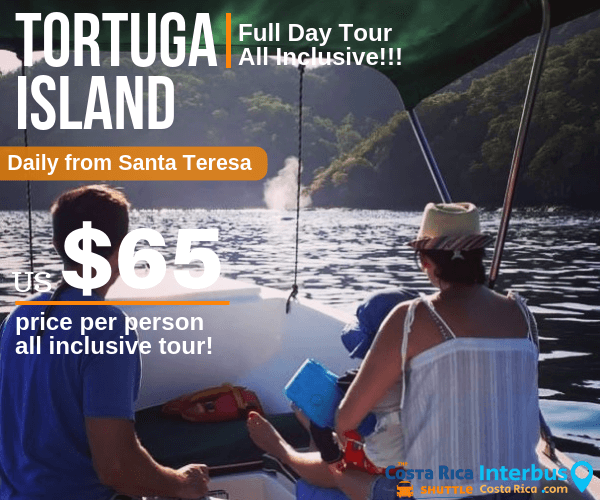 Tortuga Island Full Day Tour from Tranquilo Backpackers Santa Teresa