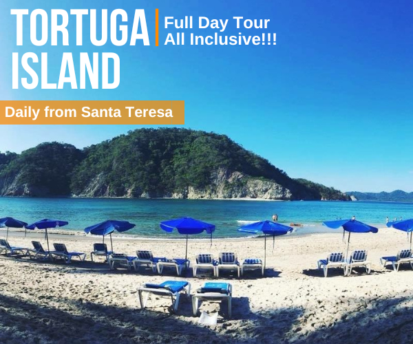 Tortuga Island Full Day Tour from Casa Zen Santa Teresa