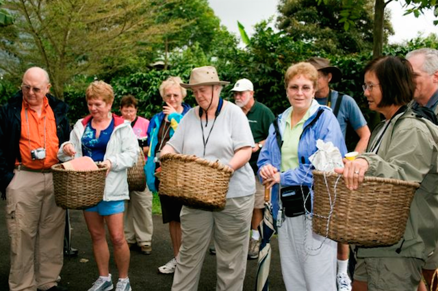 Adventure Connection: Coffee & Natural Tour + Transportation From La Fortuna & Arenal Volcano