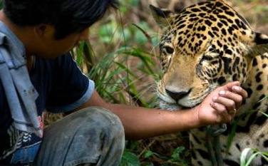 Animal Rescue Center, Chocolate Lady and Waterfall - Puerto Viejo Tour