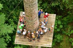 Potrero Tours: Monteverde One-Day Tour with Sky Adventures Canopy