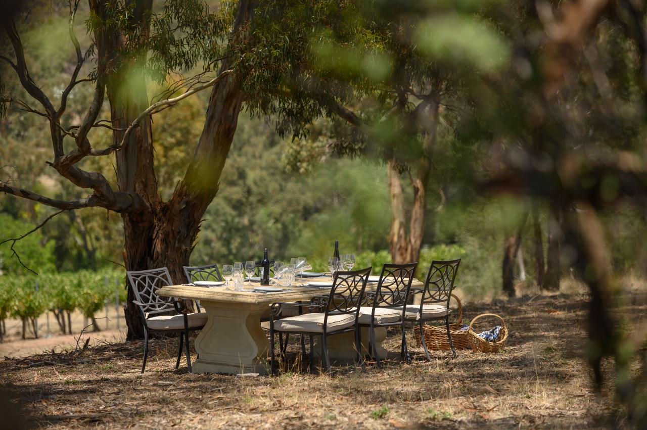 Vineyard Lunch & Masterclass