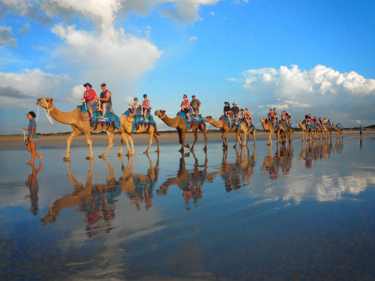 Early Pre-Sunset Tour Broome's Blue Camels