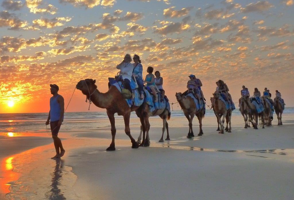 blue camel tours broome