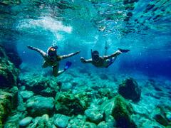 PASEO EN LANCHA Y SNORKELING ISLA DE PAJAROS