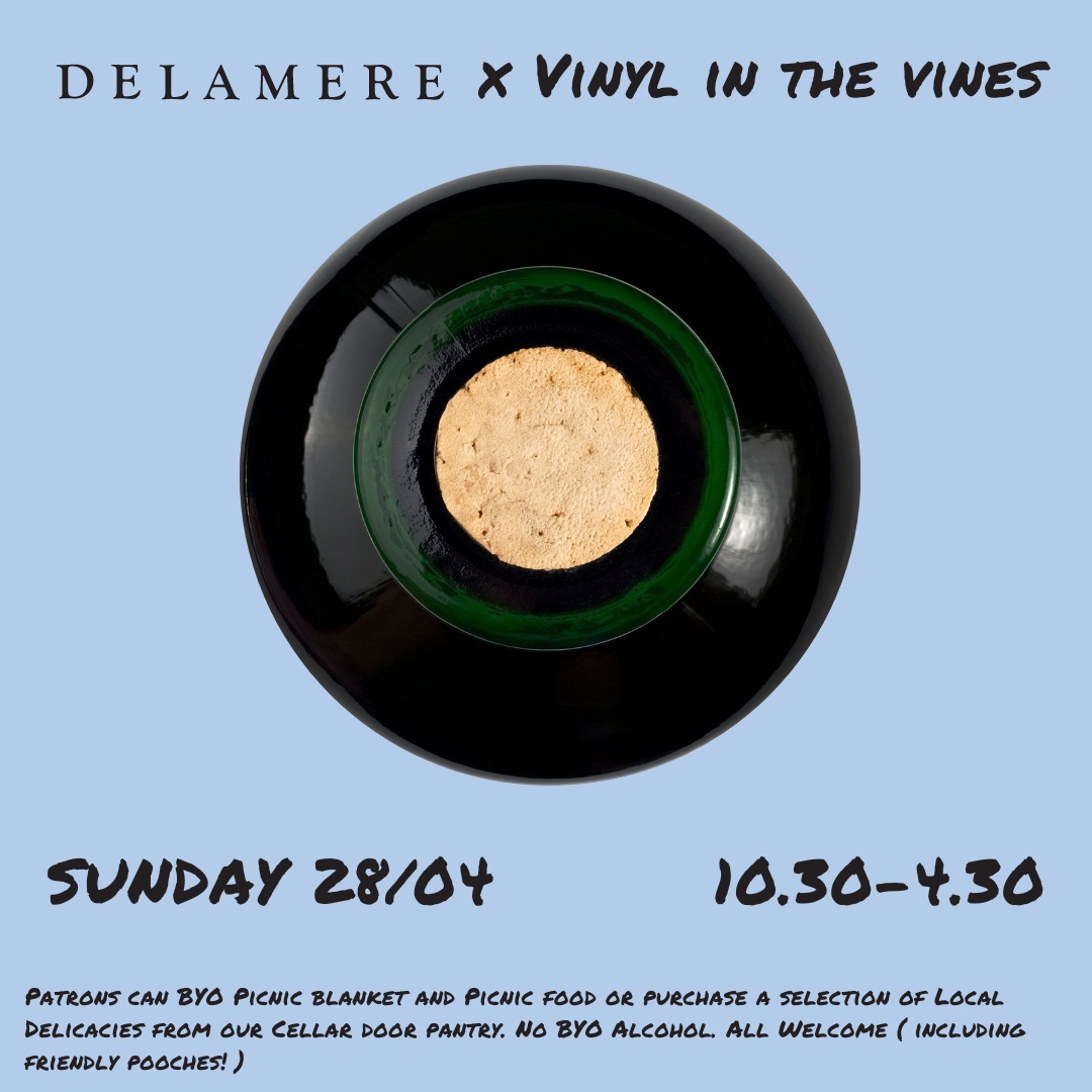 Vinyl in the Vines