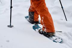Snowshoeing Guided Tour (Private)
