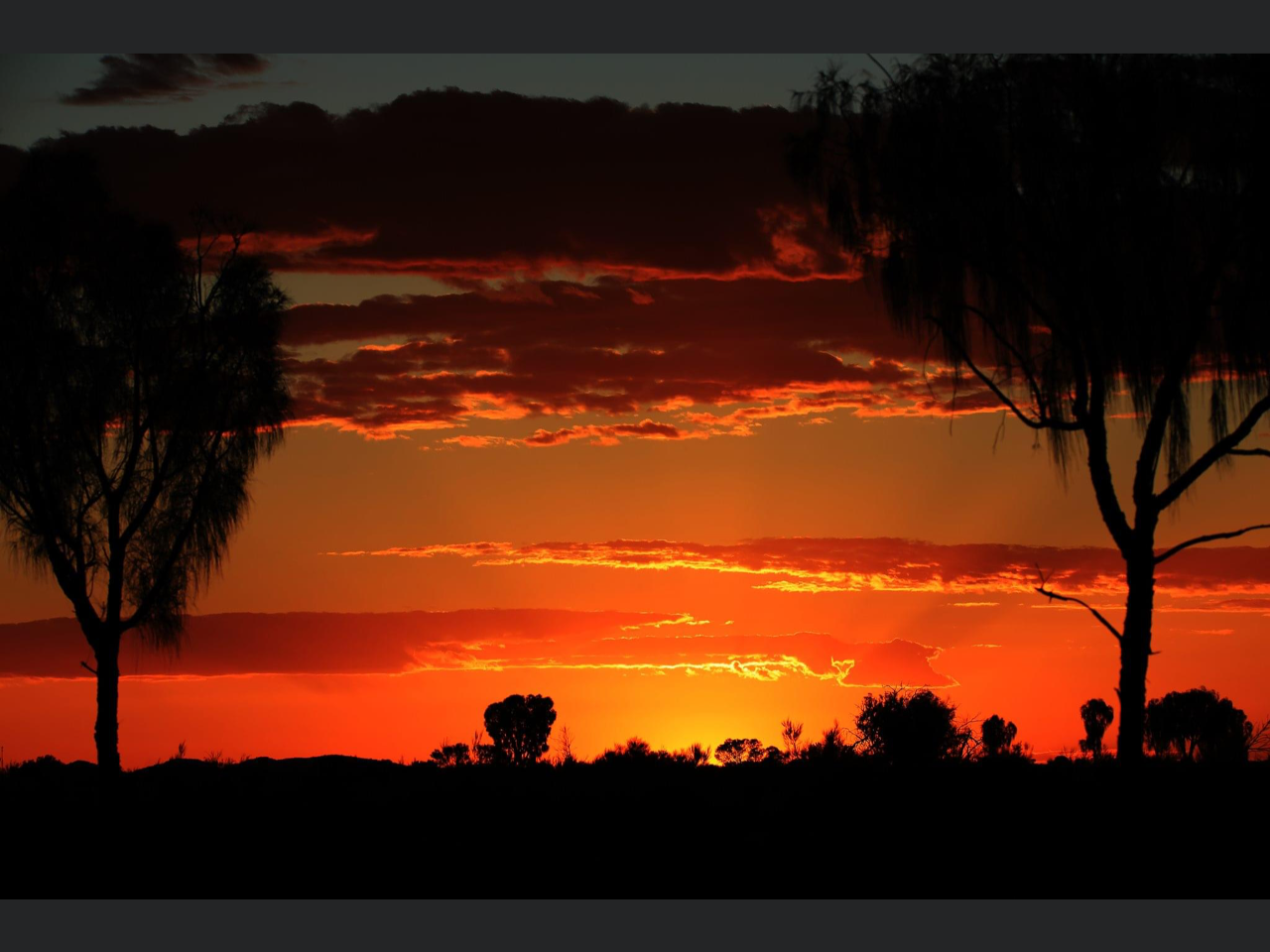 Overnight Desert  Sunset Ride
