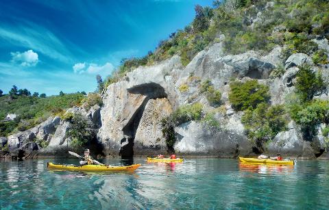 Half Day – Maori Rock Carvings