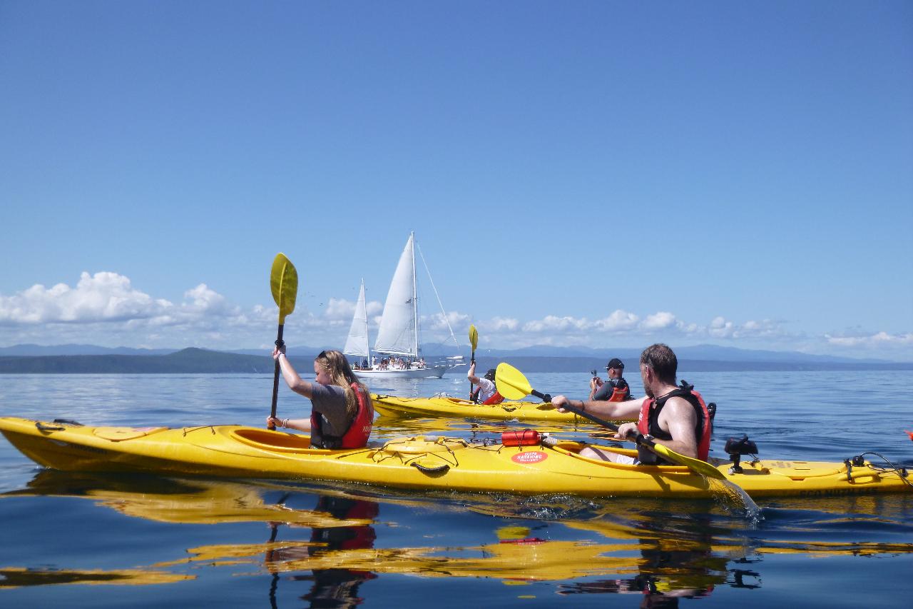 SPECIAL - $120pp - Half Day Kayaking - Maori Rock Carvings