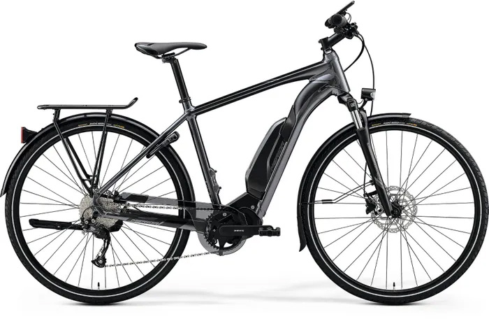 E-Bike Rental (Large)