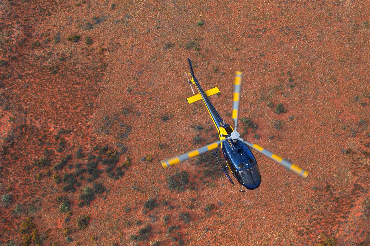 EXCLUSIVE One with the Lot - Kings Canyon & Uluru, Kata Tjuta Air Safari by helicopter (2 persons)