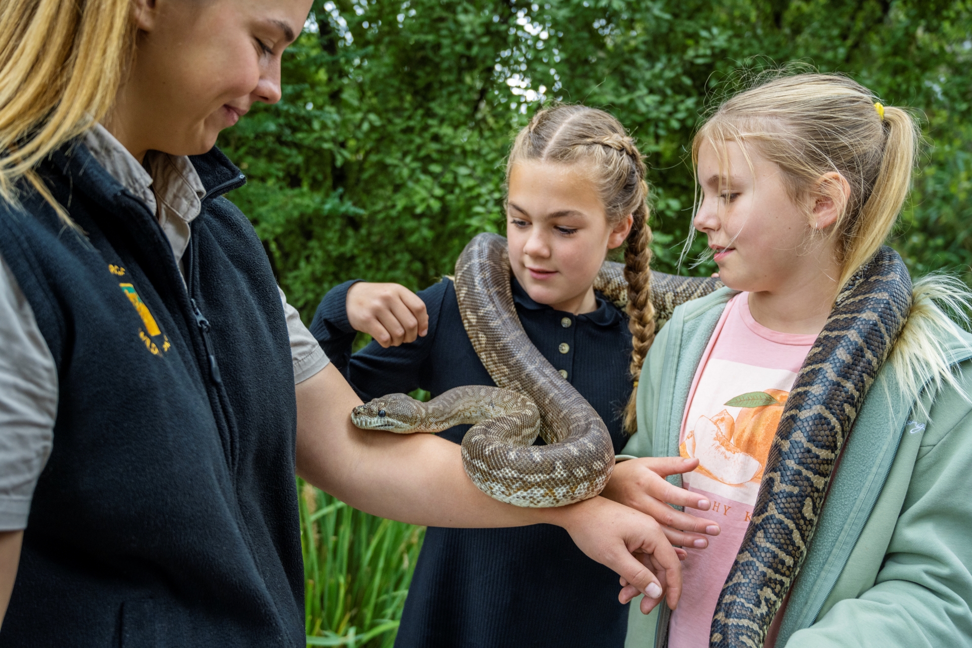 Reptile Experience - Gorge Wildlife Park Reservations