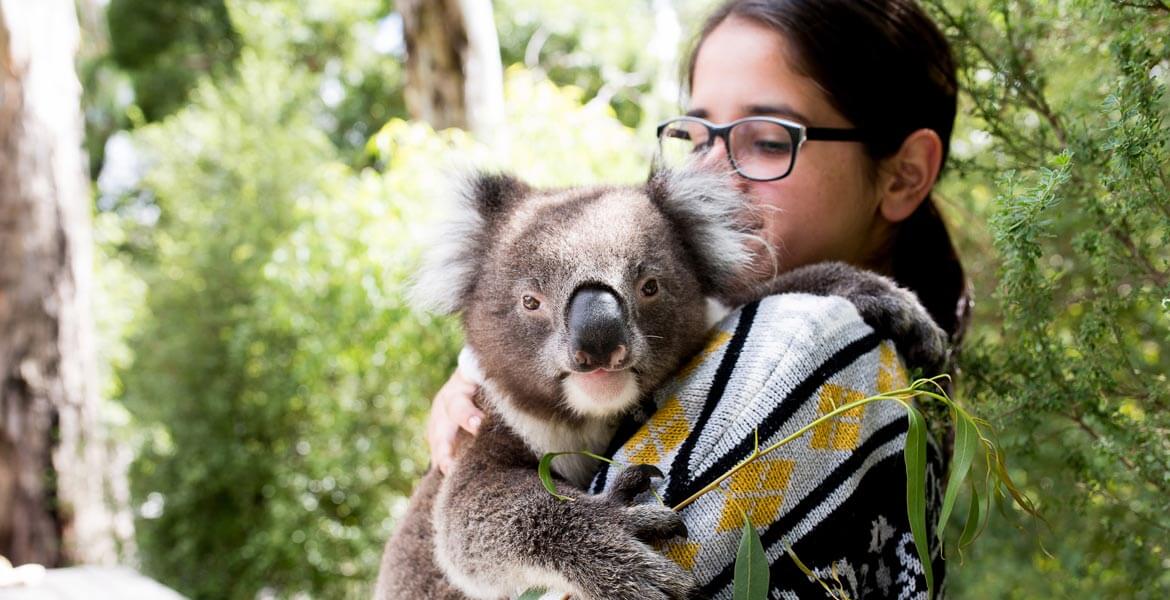 Koala Holding (public)