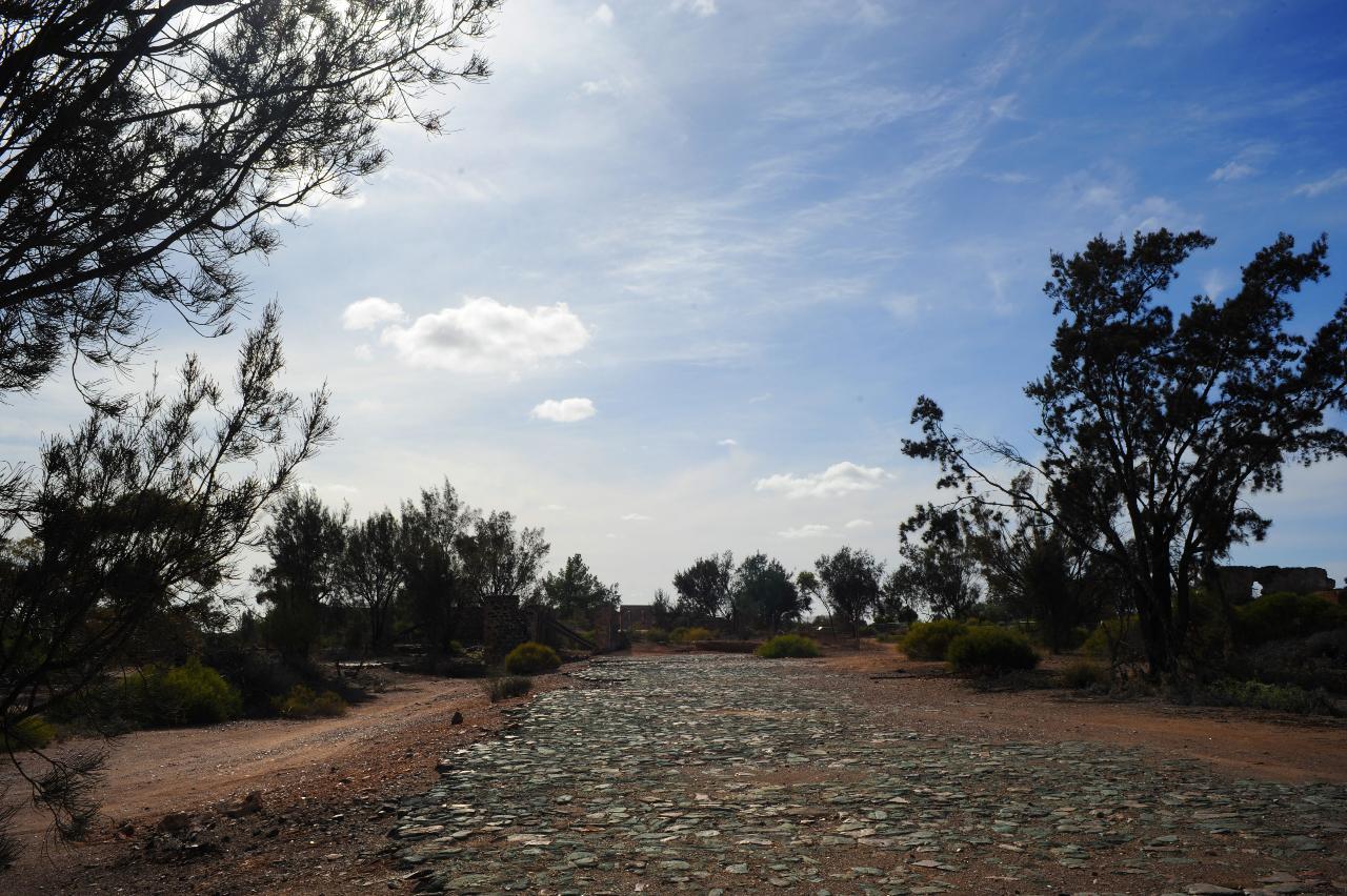 Guided Walking Tour of the Moonta Mines Elders Line of Lode National