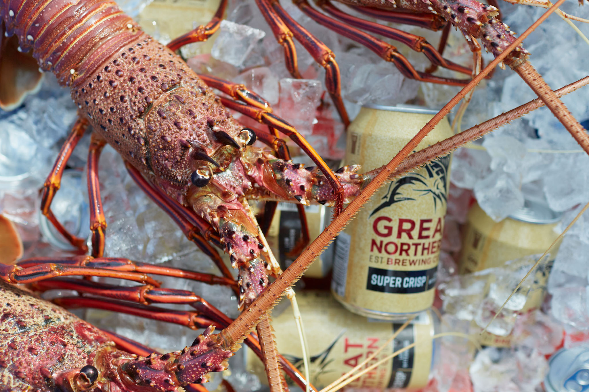 'The Abrolhos Sea Shack' 3 Day Liveaboard Charter (Ex. Geraldton)