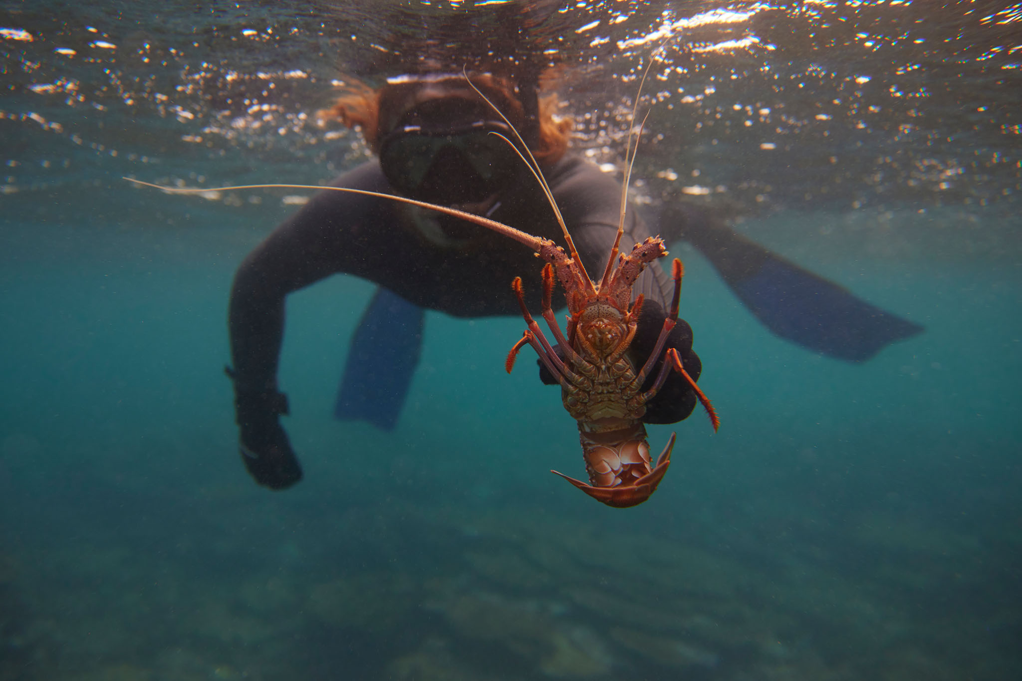 'The Abrolhos Sea Shack' 3 Day Liveaboard Charter (Ex. Geraldton)