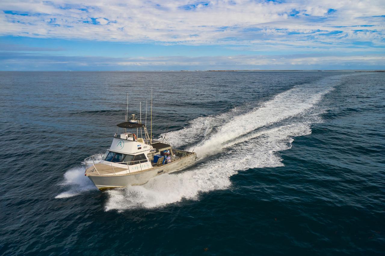 'The Abrolhos Sea Shack' 4 Day Liveaboard Charter (Ex. Geraldton ...