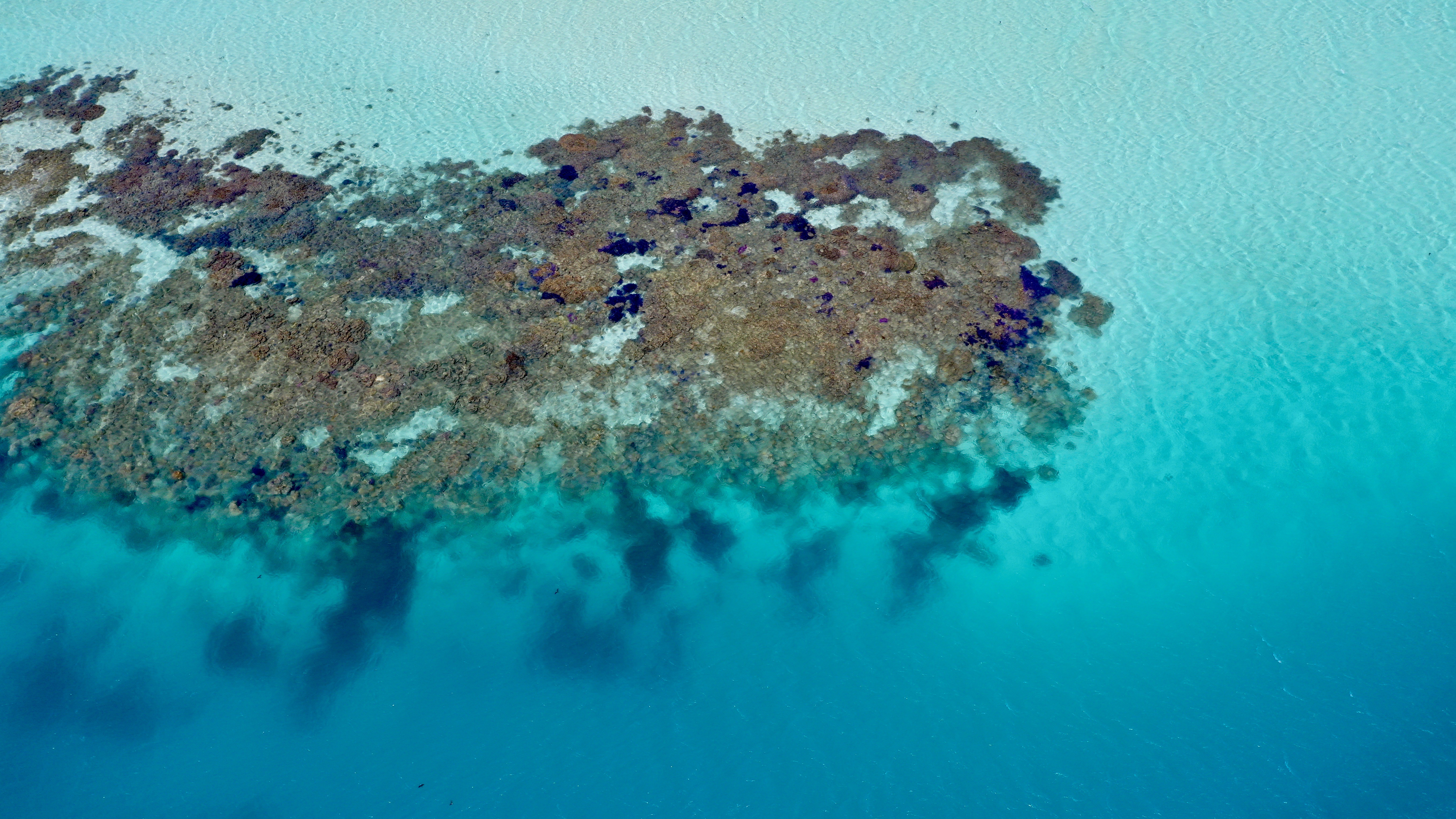Abrolhos Islands Fast Ferry Adventure Tour