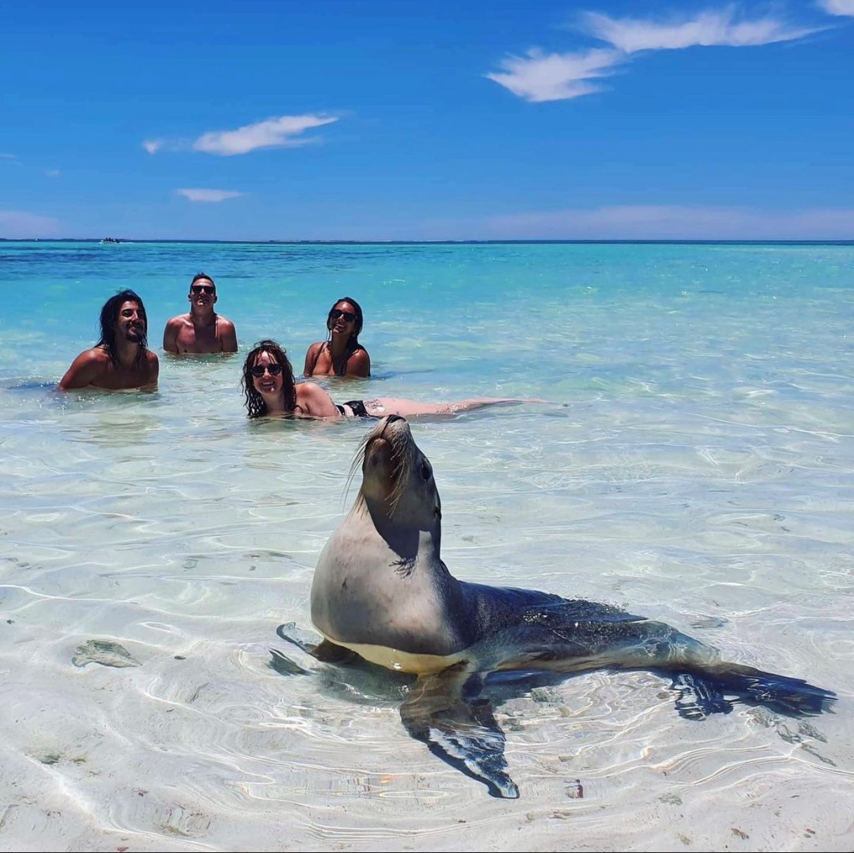 Abrolhos Islands Fast Ferry All-Day Adventure Tour