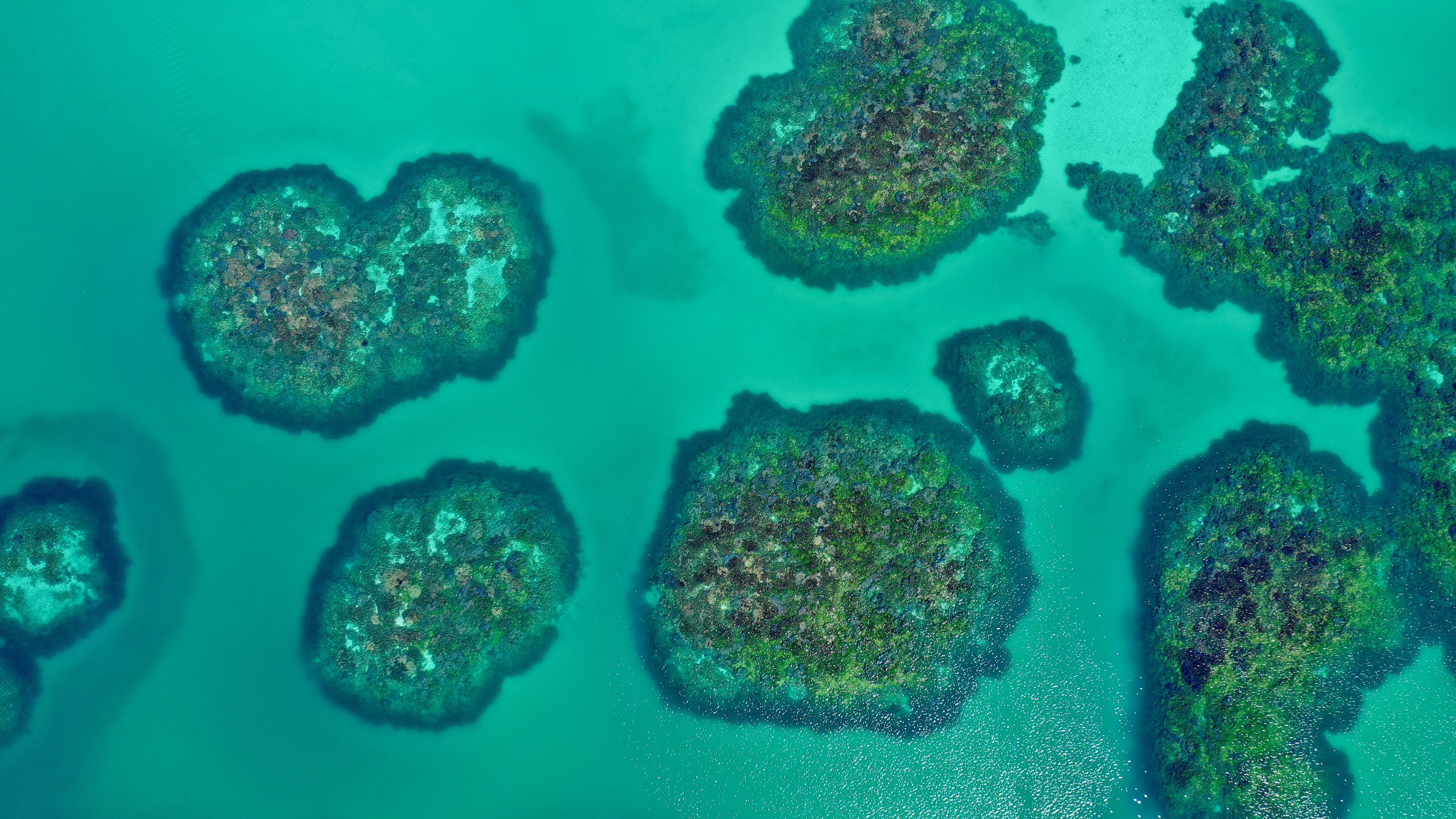 Abrolhos Islands Sightseeing & Historical Cruise with Dr Howard Gray