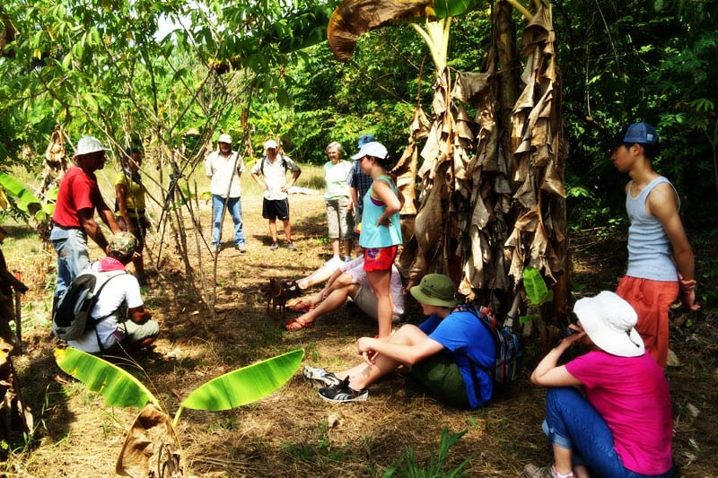 Don Guelo Farm Tour.