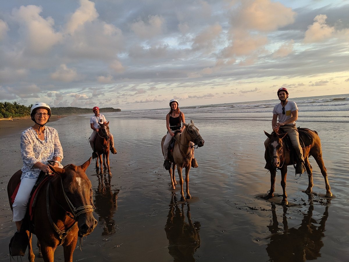 Cowboy Tour Rancho La Merced Uvita