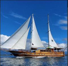 Luxury Sailing Cruise in Manuel Antonio – Brisa Elegante