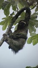 Manuel Antonio National Park Guided Tour