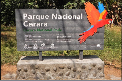 Carara National Park Guided Tour
