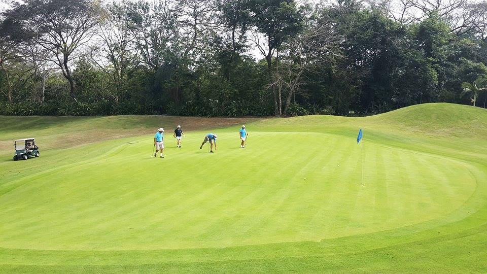 Osa Golf Course.