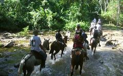 Horseback tour to Nauyaca waterfall 